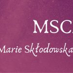 MSCA Individual Fellowships 2020: supporto ai proponenti